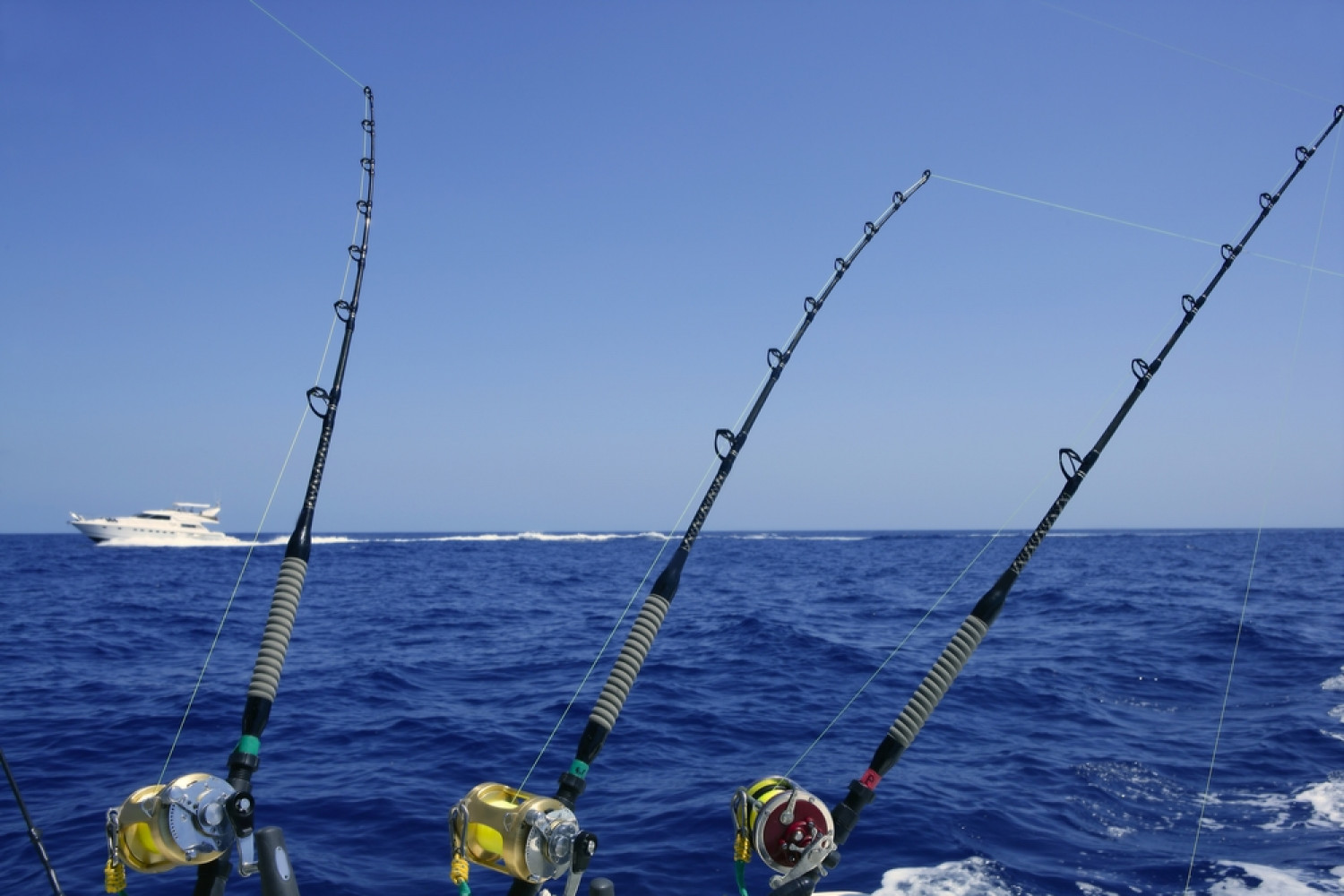 Fishing Rods for sale in Magnolia Beach, Texas